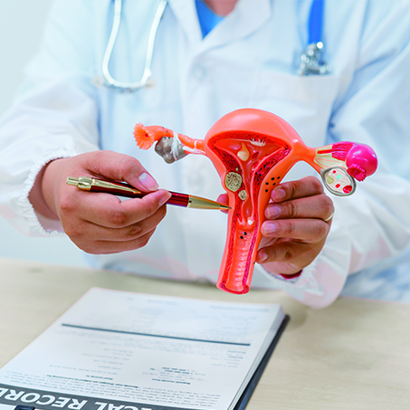 The 14 hallmarks of aging and why the focus is on ovarian health