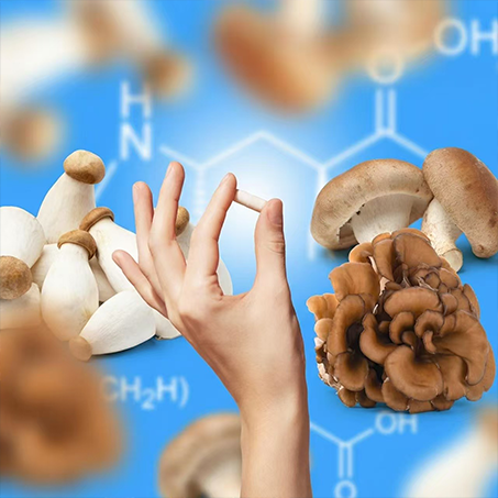 Review underscores ergothioneine’s anti-agingpotential for cognitive function Review underscores ergothioneine’s anti-agingpotential for cognitive function